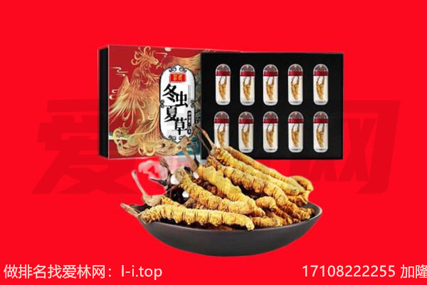 津市回收虫草.jpg